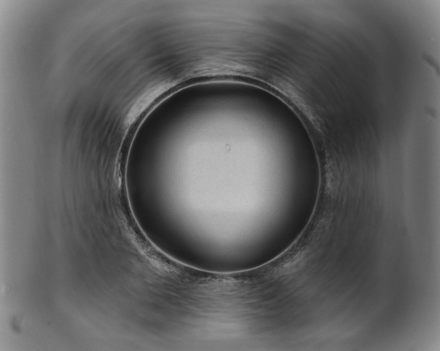 X0000102460885200808081225