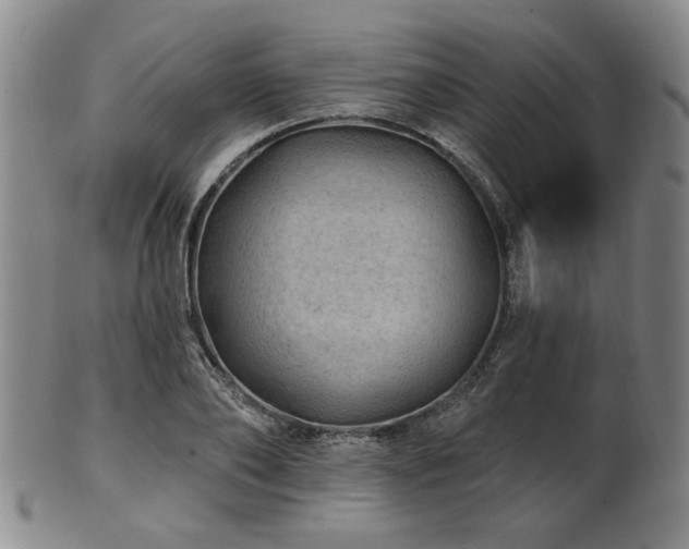 X0000102460886200808081225