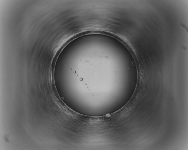 X0000102460887200808081225