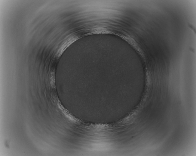 X0000102460889200808081225