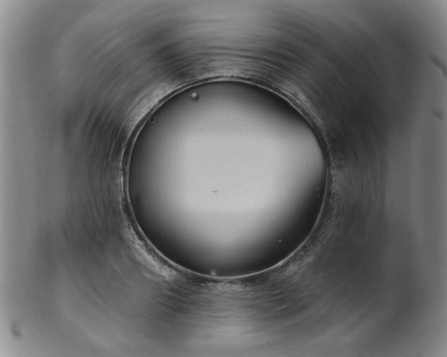 X0000102460890200808081225