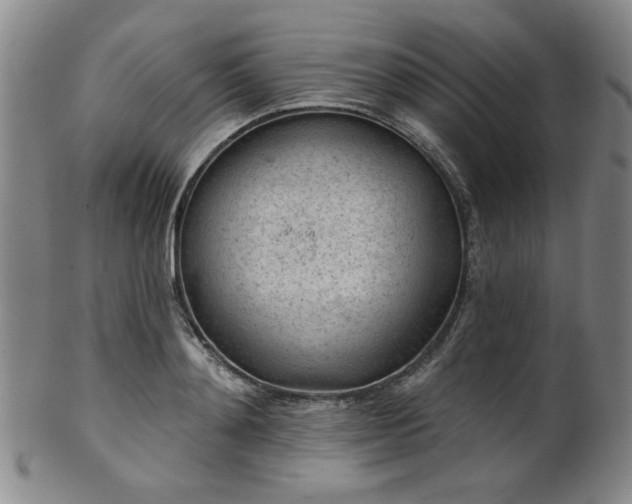 X0000102460892200808081225