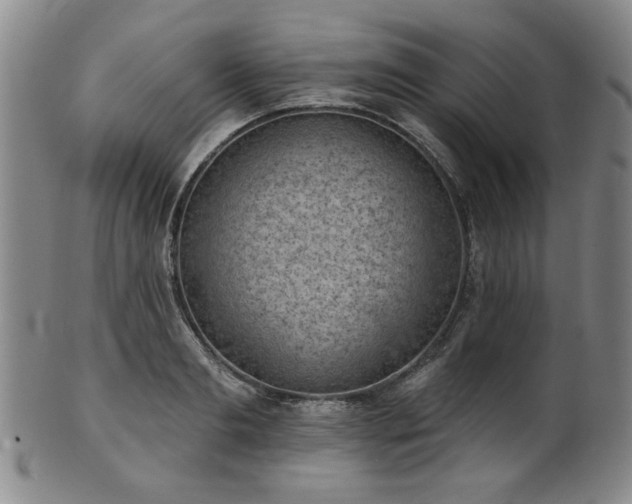 X0000102460893200808081225