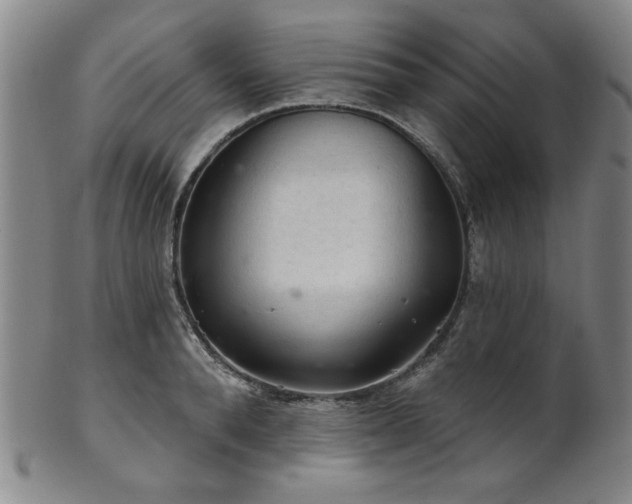 X0000102460896200808081224