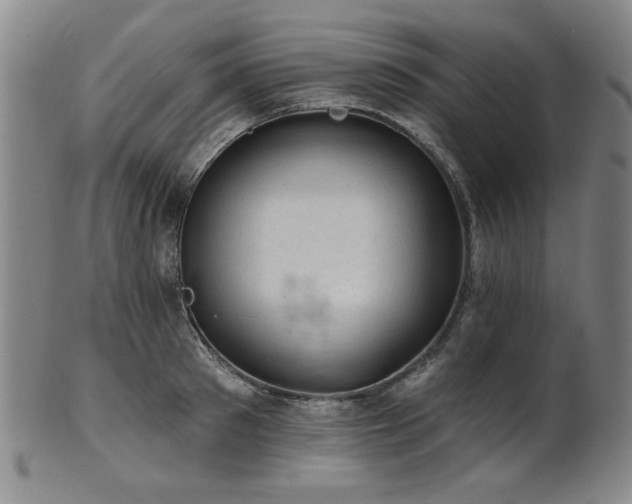 X0000102460897200808081224