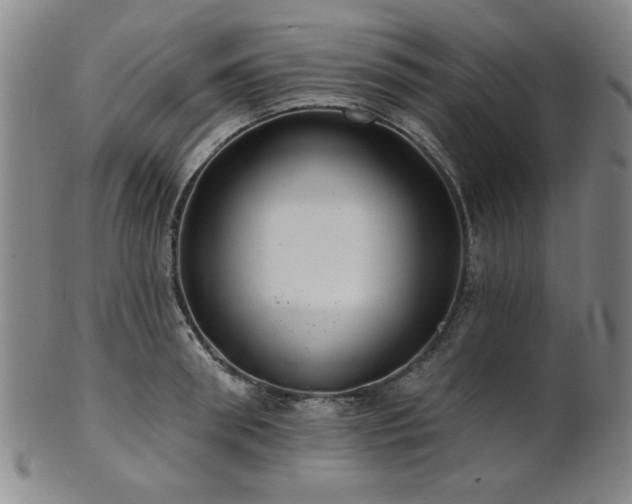 X0000102460898200808081224