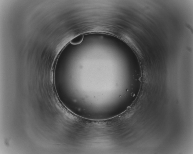 X0000102460900200808081224