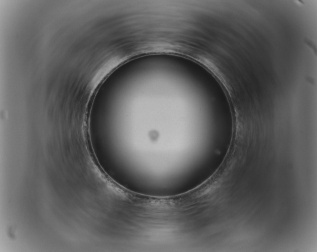 X0000102460901200808081224