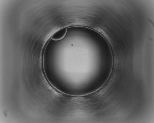 X0000102460902200808081224