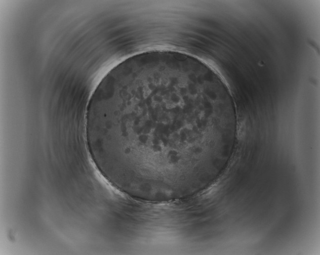 X0000102460903200808081224