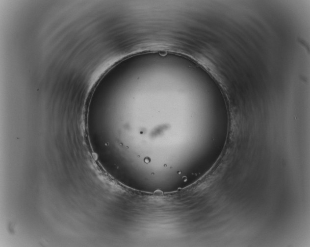 X0000102460904200808081224