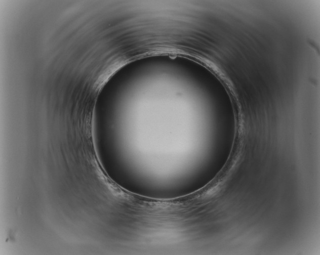 X0000102460905200808081224