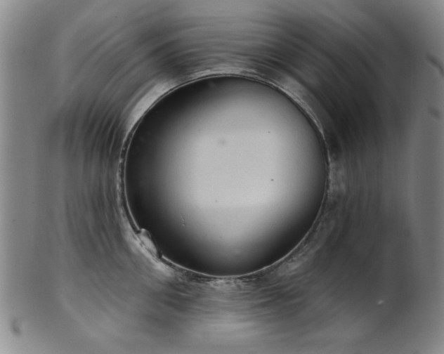 X0000102460906200808081224