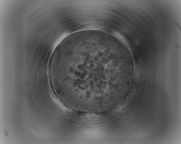 X0000102460907200808081224