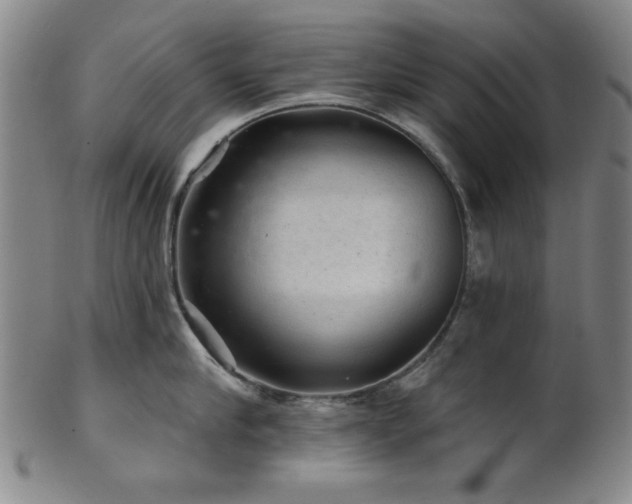 X0000102460910200808081224