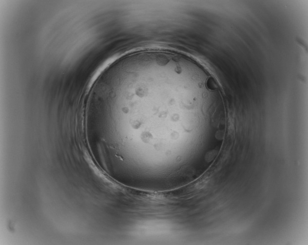 X0000102460911200808081224