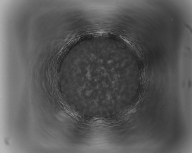 X0000102460913200808081224