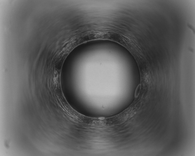 X0000102460914200808081224