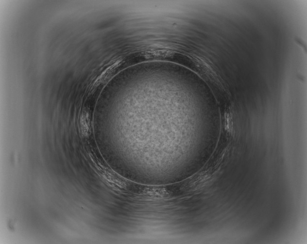 X0000102460915200808081224