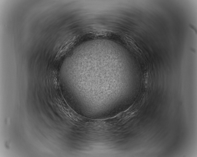 X0000102460916200808081224