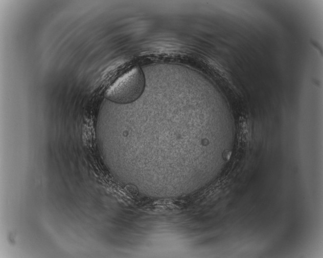X0000102460918200808081224