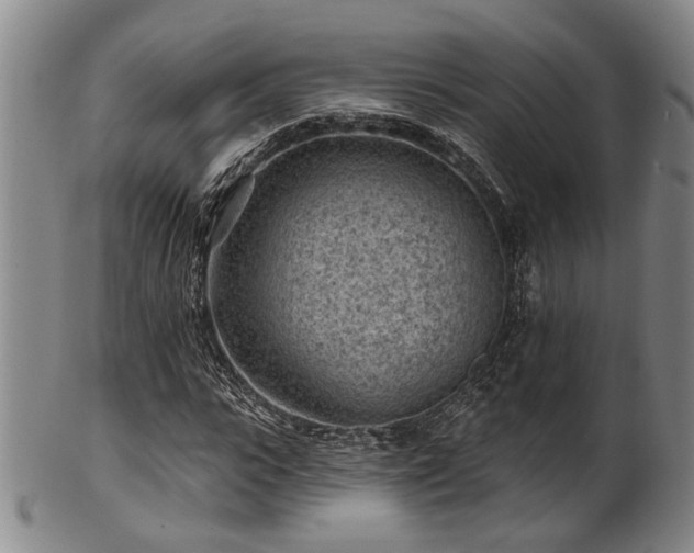 X0000102460919200808081224