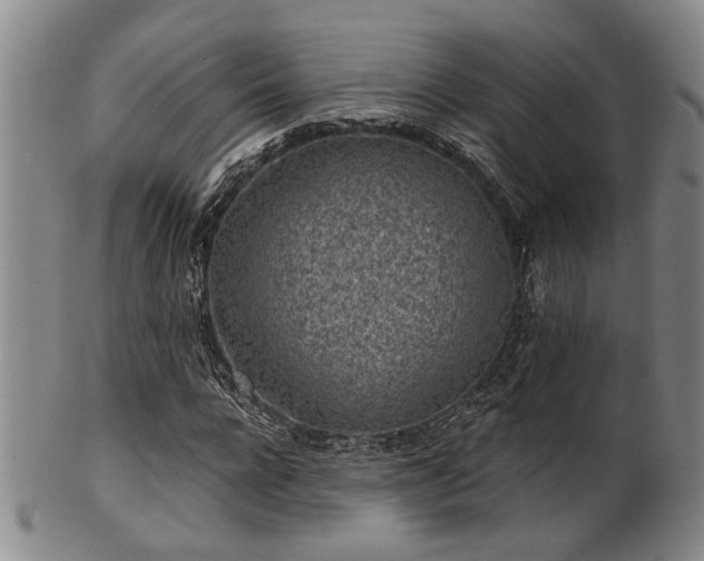 X0000102460920200808081224