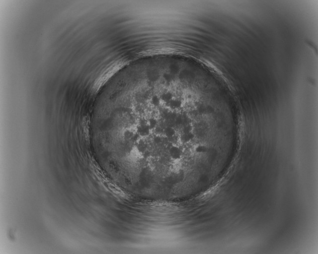 X0000102460921200808081224