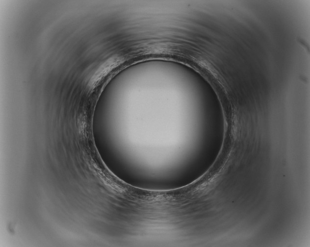 X0000102460922200808081224