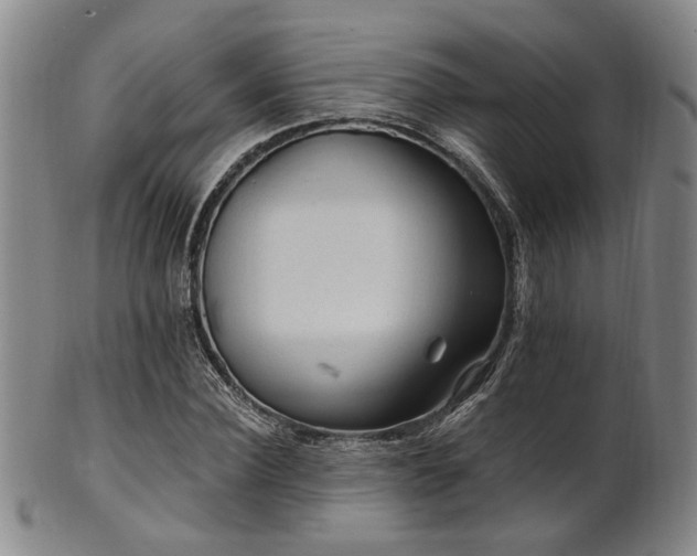 X0000102460924200808081224