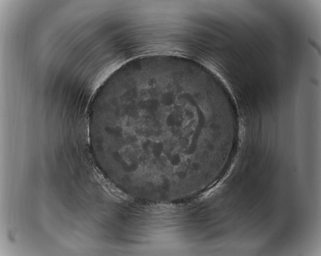 X0000102460925200808081224