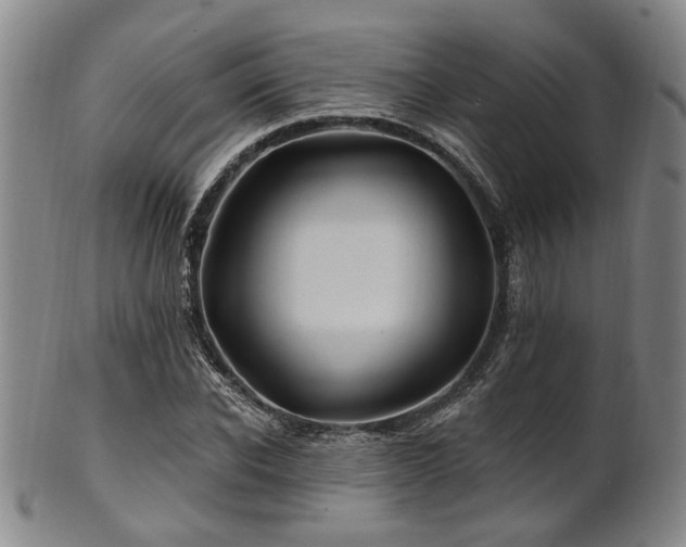 X0000102460926200808081224
