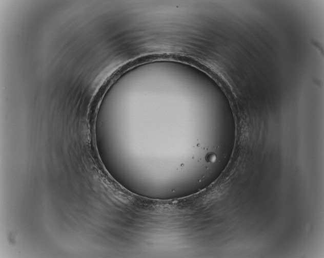 X0000102460927200808081224