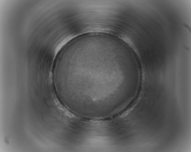 X0000102460928200808081224