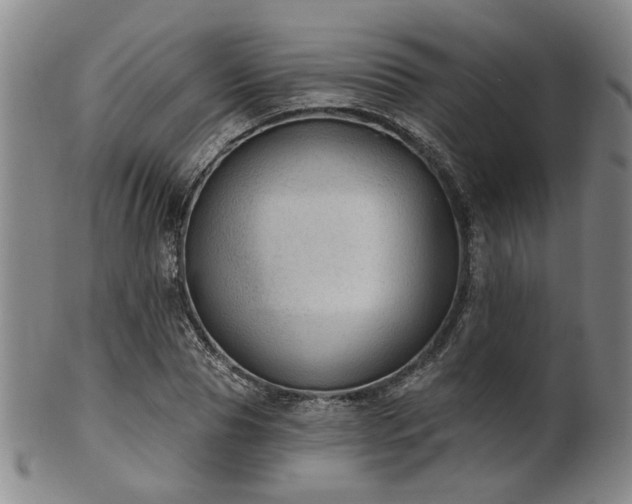 X0000102460929200808081224
