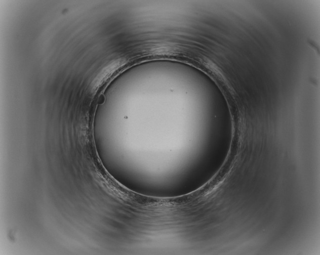 X0000102460930200808081224