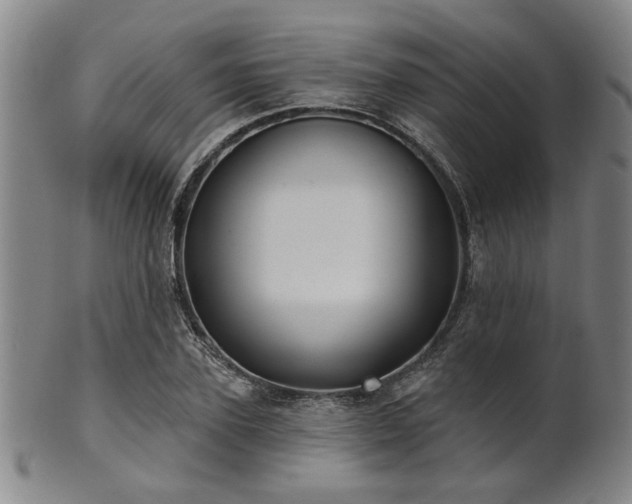 X0000102460931200808081224