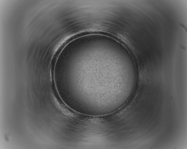 X0000102460934200808081224