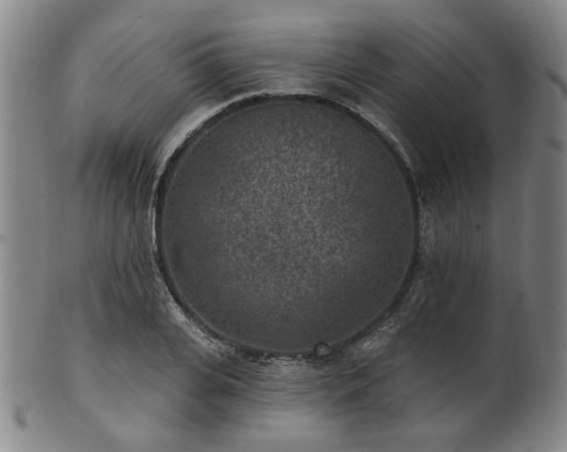 X0000102460935200808081224