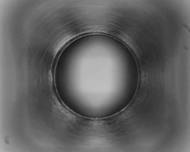 X0000102460936200808081224