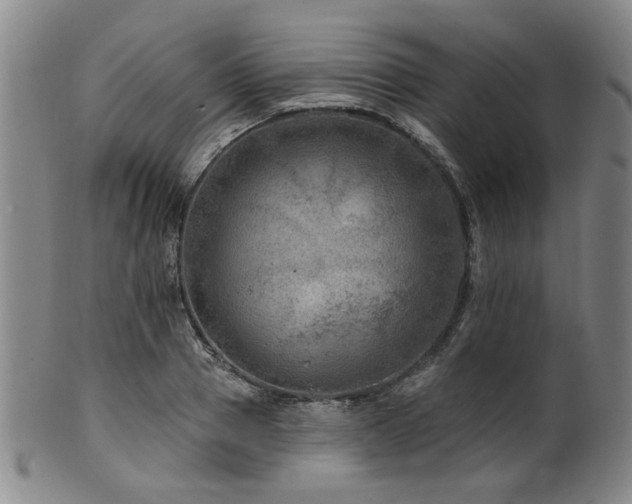 X0000102460937200808081224