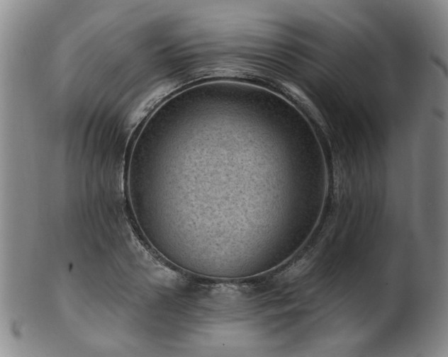 X0000102460938200808081224