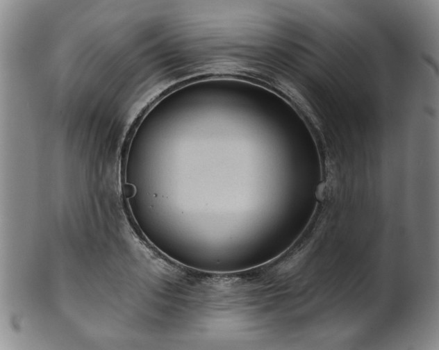 X0000102460939200808081224