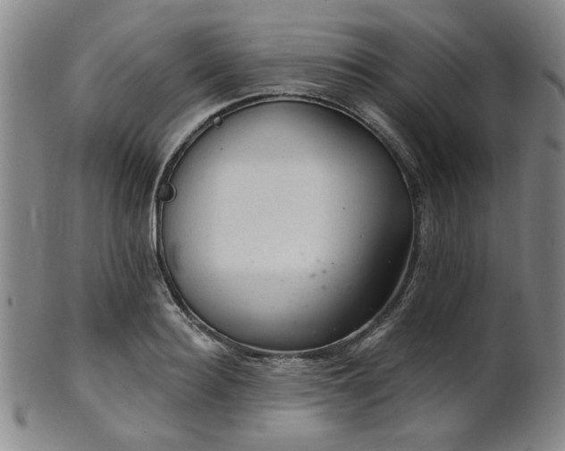 X0000102460940200808081224
