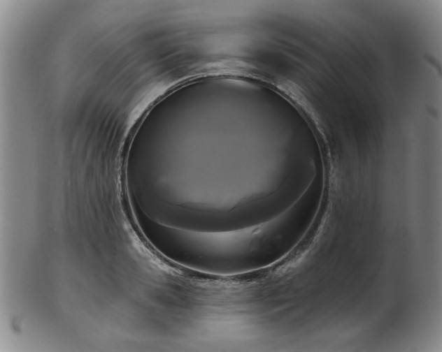X0000102460941200808081224