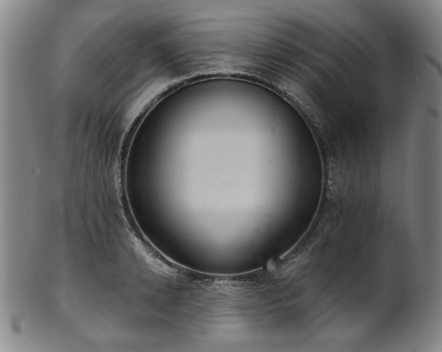 X0000102460942200808081224