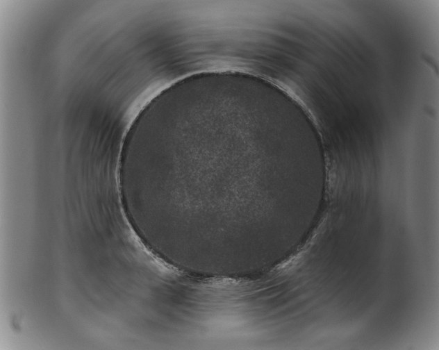X0000102460943200808081224