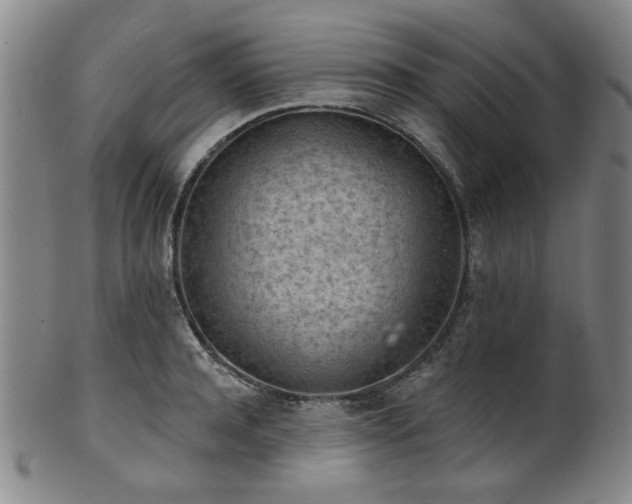 X0000102460944200808081224