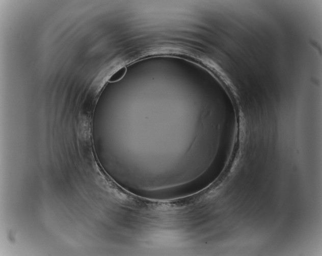 X0000102460945200808081224