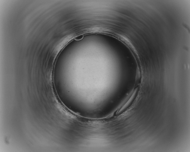 X0000102460946200808081224
